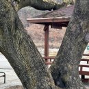 삼국유사화본마을 | 군위혼자여행 화본마을 벽화거리 주차장 대구 갈만한곳