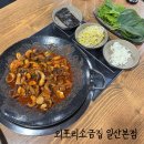 외포리 소금집 | 파주출판단지 일산 쭈꾸미 맛집 외포리소금집 일산본점