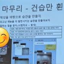 건습만 상반기 정기 모임 후기 - 내가 새벽까지 관심 있게 찾아볼 만큼 열정이 있는 분야를 찾았는가...