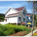 카멜리아펜션 이미지