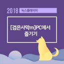 녹스피시 이미지