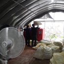 다온농장(2) 이미지