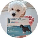 바른피드 | 심장사상충약 바르는 심피드 독 심장사상충과 내외부 기생충 구제