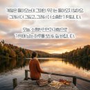 생일 ,장미 이미지