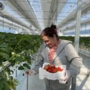 진도농장 이미지