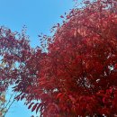 종로-연건-종로-연-128 | 🍁