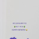 위드고로 이미지