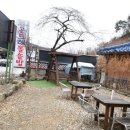 청기와농장 이미지