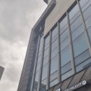 헤일로 살롱