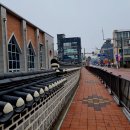 봉황초등하교 이미지