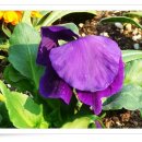 아름다원 이미지