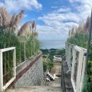 주식회사 대창 | 울산 간절곶 헤이메르 펜션 내돈내산 후기 - 마린 B동, 바베큐