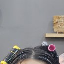 더꿈헤어 | 파주 미용실 꿈꾸는 하루헤어 가격, 커트, 히피펌(솔직후기를 곁들인)