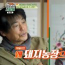 일건농장 티스토리