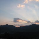 순천만 갈대밭 이미지