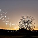 디자인 푸름 이미지