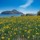 개간지천 이미지