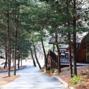 힐링스토리 이미지