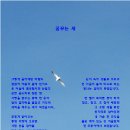 빛드림공인중개사사무소 이미지