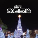 (12/13)크리스마스 미니트리 이미지