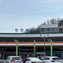 마이산 벚꽃길 | 마지막 벚꽃 산행 &lt;마이산&gt; 최단 등산코스 후기 ! 가보기 산악회