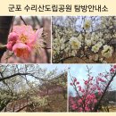 수리산도립공원 탐방안내소 이미지