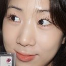 홀리카홀리카 신상 마이페이브 피스 아이 프로즌 멀티 팔레트 공용기 후기