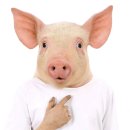 돼지세끼 이미지