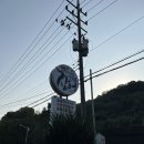 남도민속촌갈비 에서 숯불에 장어 소금구이, 장어 양념구이를 내돈내산 먹은 후기