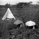 순덕이네 이미지