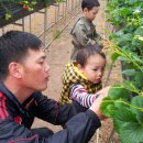 다우 농장 이미지