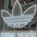 소호 호스텔 이미지