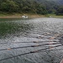 청풍호반낚시터 네이버블로그