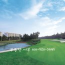 라온 아쿠아풀 이미지