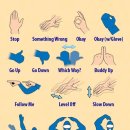 스쿠버다이버의집 이미지