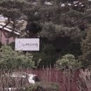 베이비스튜디오 리송