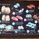 시마스시 - 광진구 | 시마스시