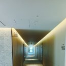 소노펠리체 델피노 이미지