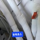 동보환경 이미지