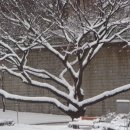 옥정초등학교 이미지