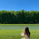 궁전투 | 베르사유 궁전 가는법 정원 피크닉 로망실현! 뮤지엄패스 예약 필수