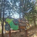 장유체육공원AP2(축구장) | 장유 등산로 추천 장유체육공원 능동약수터 용지봉