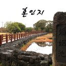 온평리-12 네이버블로그