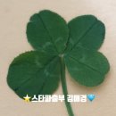 파출사랑 이미지