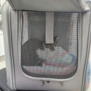 24시스마트동물메디컬센터 이미지
