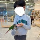 리프패럿대구 | [대구 월성동 가볼만한 곳] 리프패럿 대구월성점 방문기 / 🌈내돈내산 후기 입니다🌈