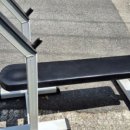 다이나포스헬스클럽 이미지