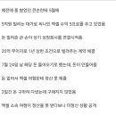 철구, 불법 사채 그리고 도박 고백 요약본 이미지