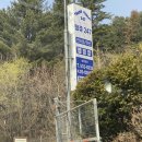 땡큐247