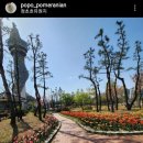 청초호유원지(중앙) 이미지